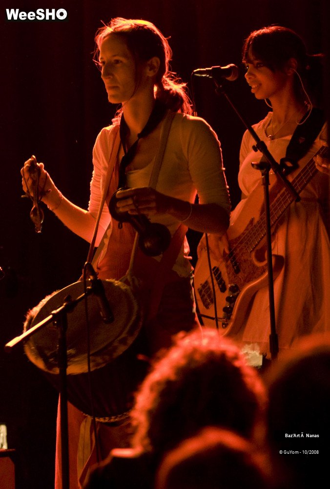 12/30 photos du spectacle Baz'Art à Nanas